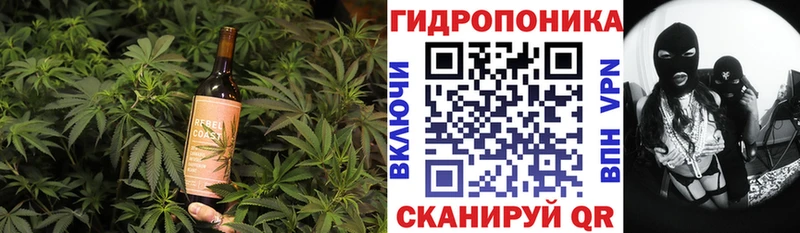 даркнет состав  Мензелинск  Печенье с ТГК конопля 